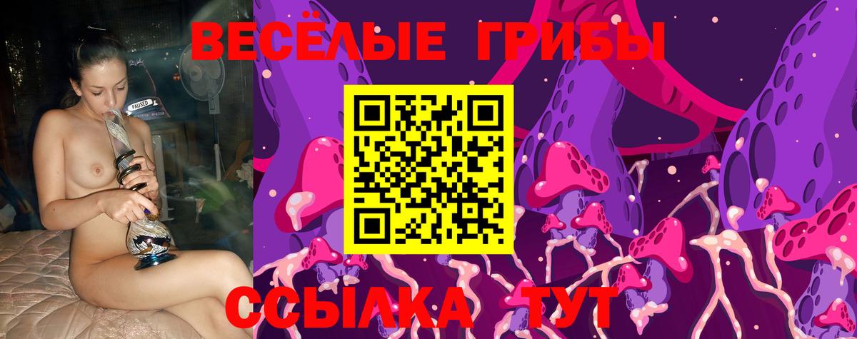 Галлюциногенные грибы MAGIC MUSHROOMS  Вход с VPN  Псилоцибиновые грибы Psilocybine cubensis  Королёв 